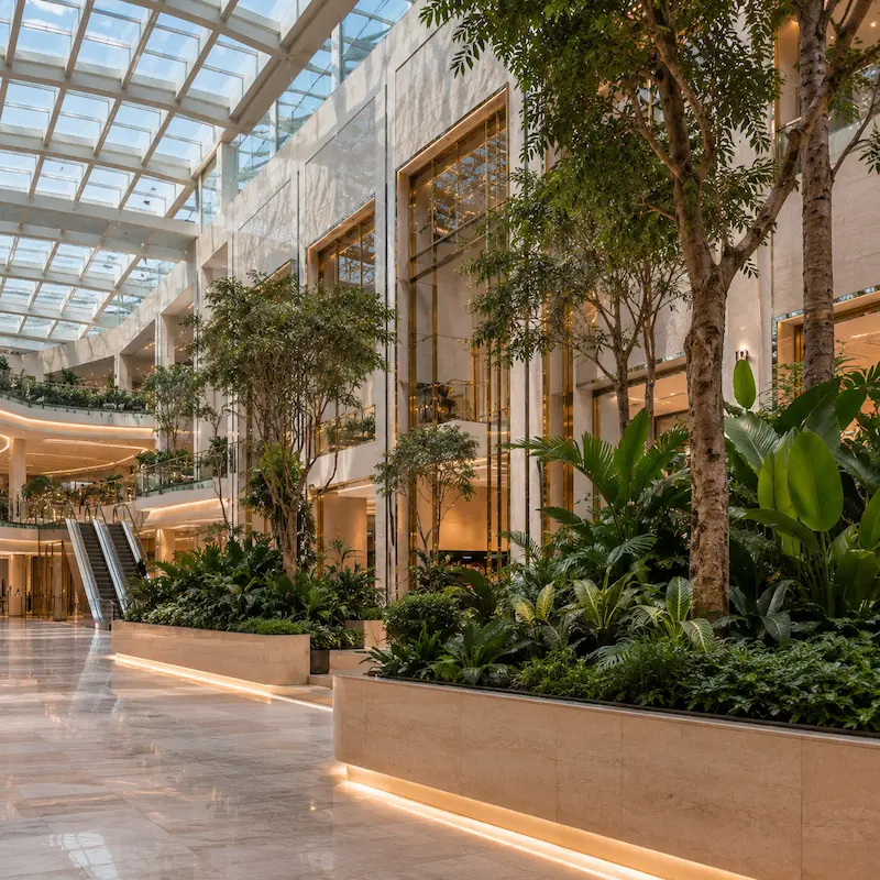 Indoor atrium planting & planters