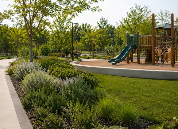 Playground Header