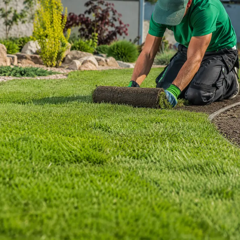 Lawn Installation