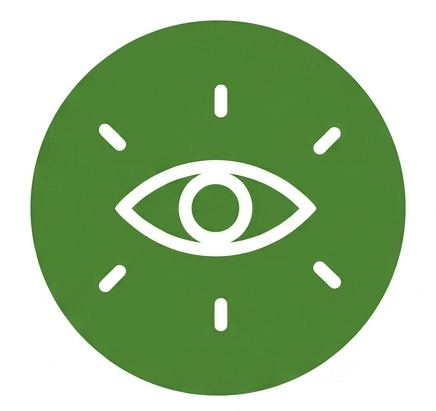 Vision