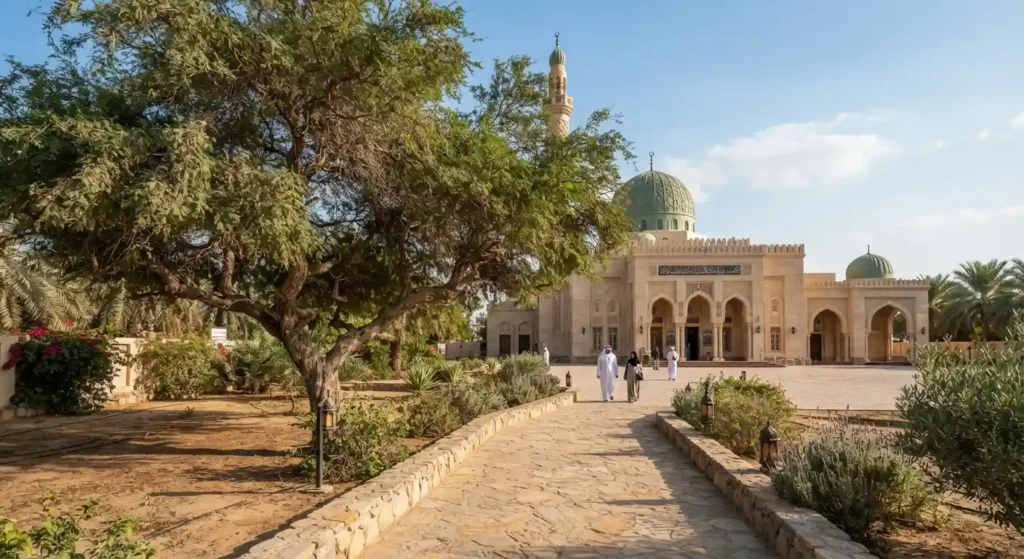 Drip irrigation mosque landscaping uae Ghaf neem tree mosque landscaping uae