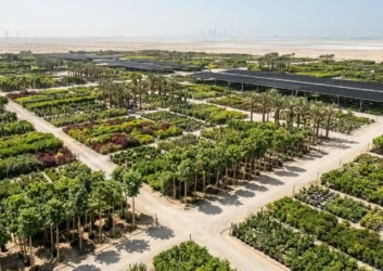 Plant nursery aerial view dubai skyline Plant nursery aerial view dubai skyline