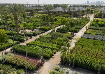 Plant nursery aerial view dubai skyline Plant nursery aerial view dubai skyline