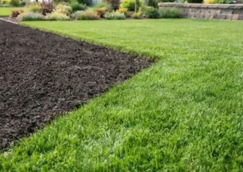 Soil preparation vs installed sod lawn (1) Soil preparation vs installed sod lawn (1)