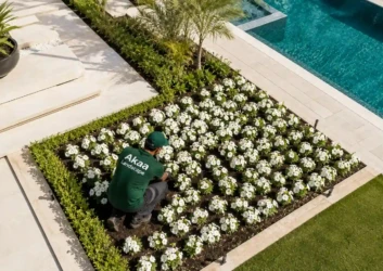 Team planting white petunias poolside Dubai Team planting white petunias poolside Dubai
